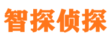 广平市侦探公司